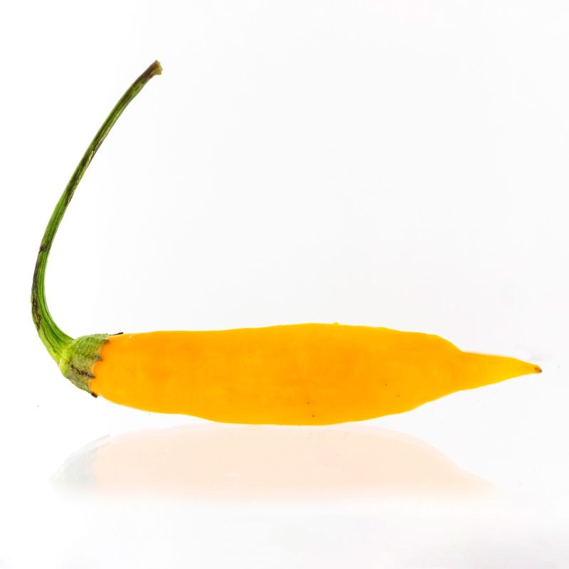 Aji Mango.01