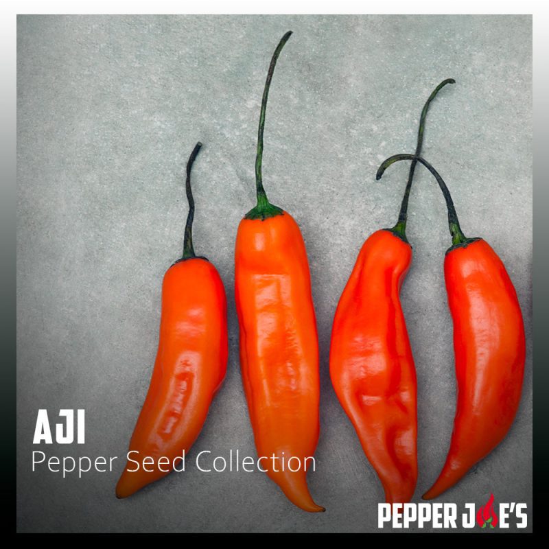 Aji Pepper Seed Collection