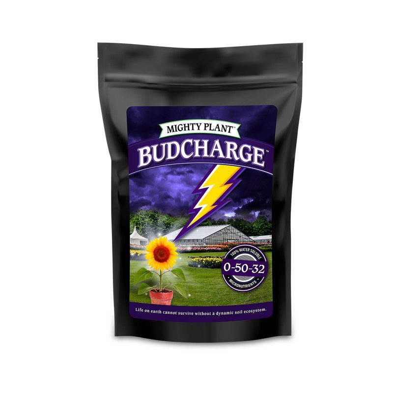 BudCharge.01