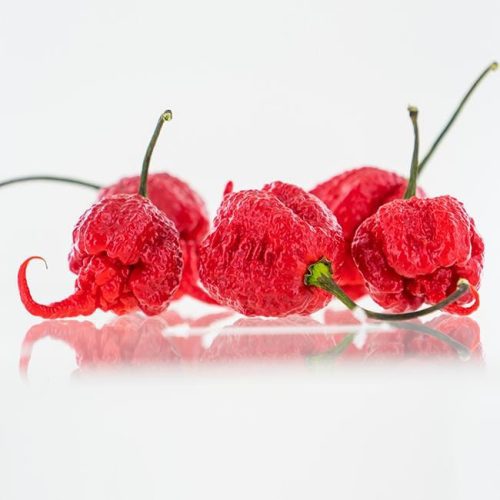 CarolinaReaper1 05f4ec6f 872e 4d24 ab13 bd0cfe5ac959