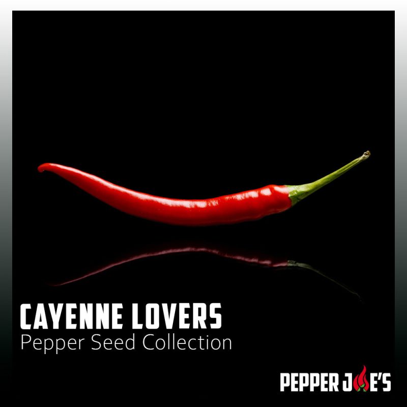 Cayenne Lovers Pepper Seed Collection