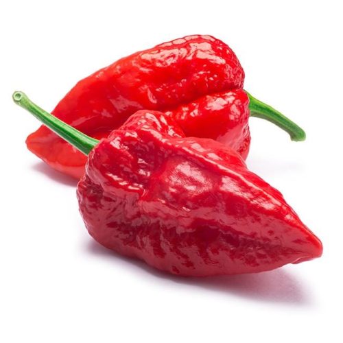 GhostPepper1 88234648 8bcb 4c4b 9c10 a5b5ebac5abb