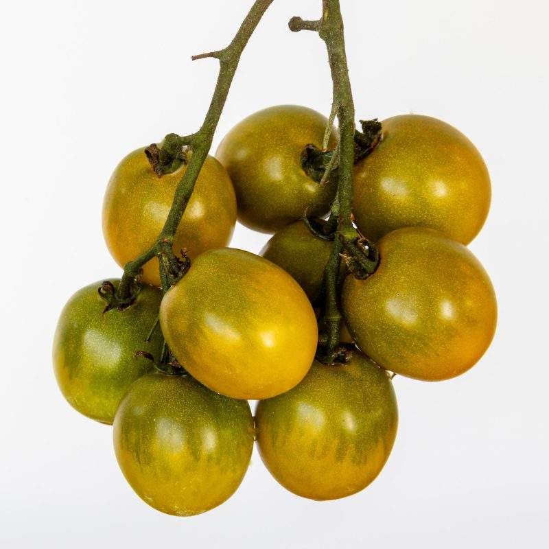 Green Grape Tomato 2