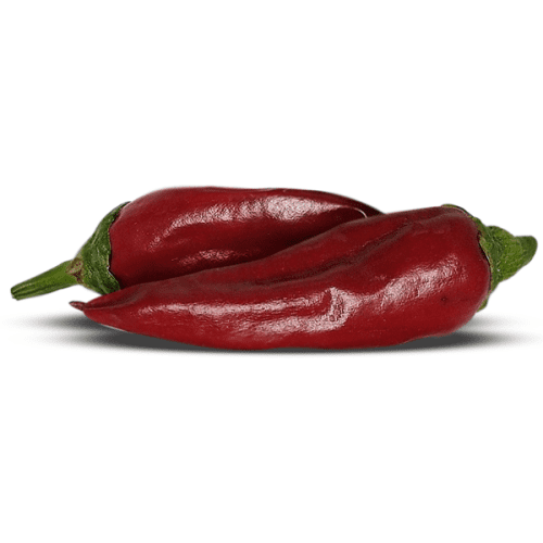 Guajillo