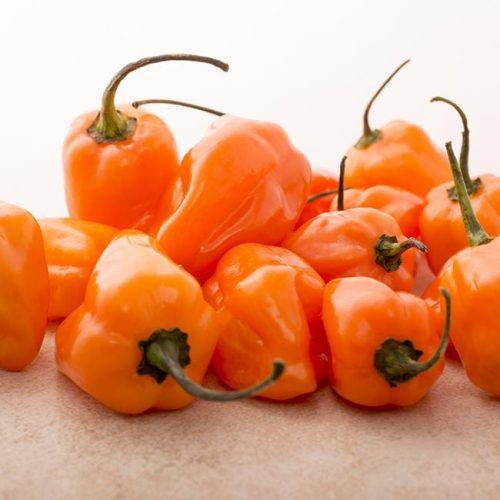 Habanero2