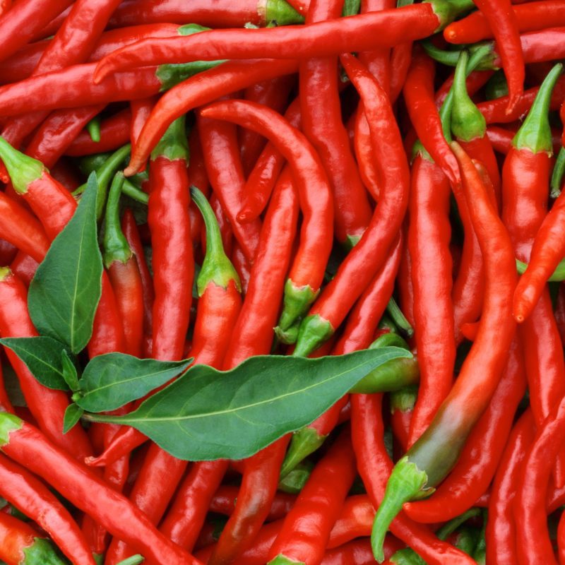 Lombok Chili