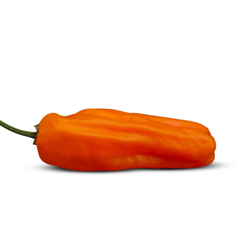 OrangeJalapeno