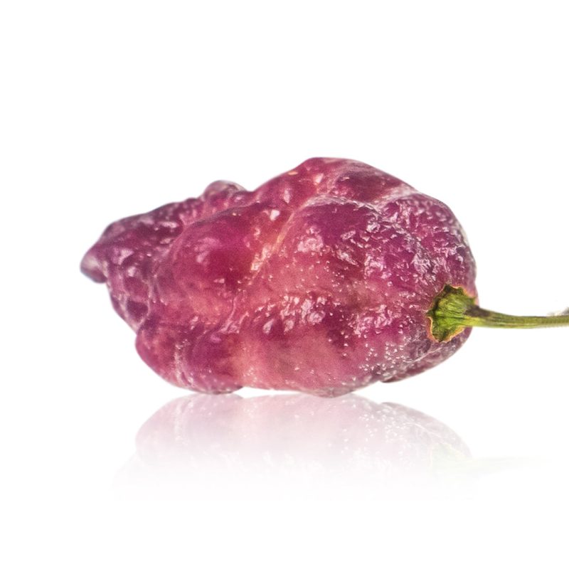 PinkTigerXPeachBhut