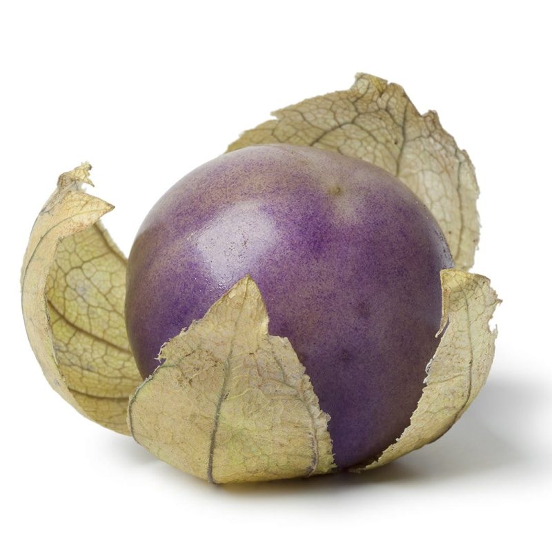 PurpleTomatillo2