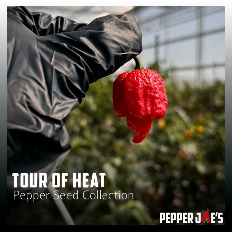 Tour of Heat Pepper Seed Collection