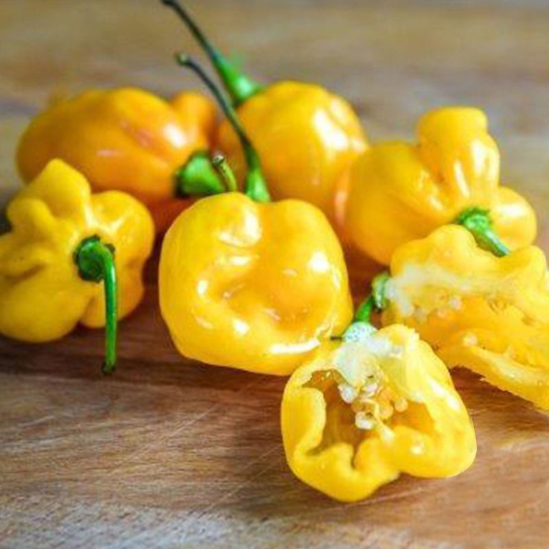 Yellow Cherry Habanero