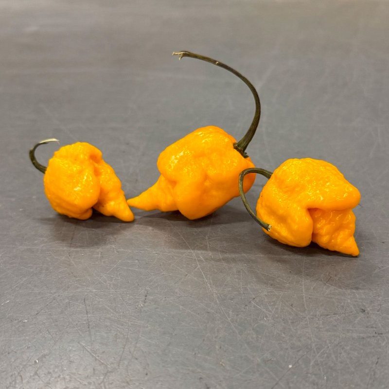 Yellow Reaper Pepper.02